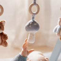 De Little Dutch babygym uit de forest friends-collectie is kleurrijk en prikkelt de nieuwsgierigheid van je baby met schattige bosvriendjes en diverse speelelementen. Ideaal als kraamcadeau! VanZus