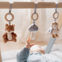 De Little Dutch babygym uit de forest friends-collectie is kleurrijk en prikkelt de nieuwsgierigheid van je baby met schattige bosvriendjes en diverse speelelementen. Ideaal als kraamcadeau! VanZus