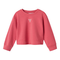 De kulana in de kleur rapture rose van het merk Name It is een zachte, comfortabele sweater met een speelse en stijlvolle uitstraling. De trui is gemaakt van een ademende katoenmix. VanZus