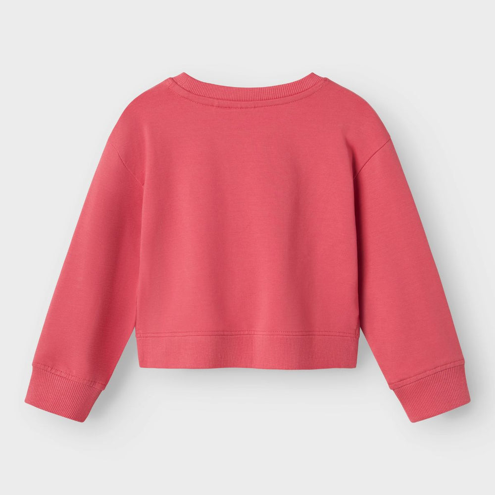 De kulana in de kleur rapture rose van het merk Name It is een zachte, comfortabele sweater met een speelse en stijlvolle uitstraling. De trui is gemaakt van een ademende katoenmix. VanZus