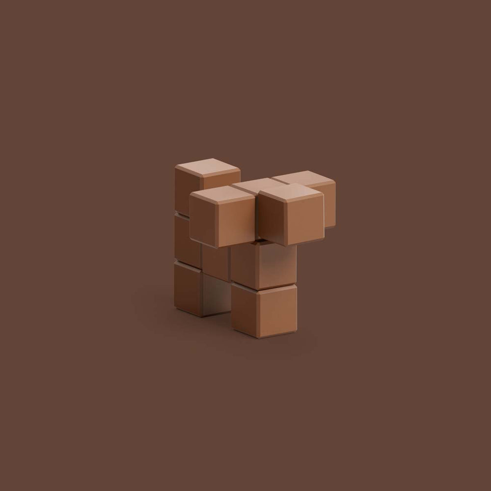 Met de PIXIO Dog Brown set kun je je creativiteit helemaal kwijt. Met deze magnetische blokken maak je de leukste 3D pixel kunstwerken. Met deze set maak je een schattige bruine hond. VanZus.