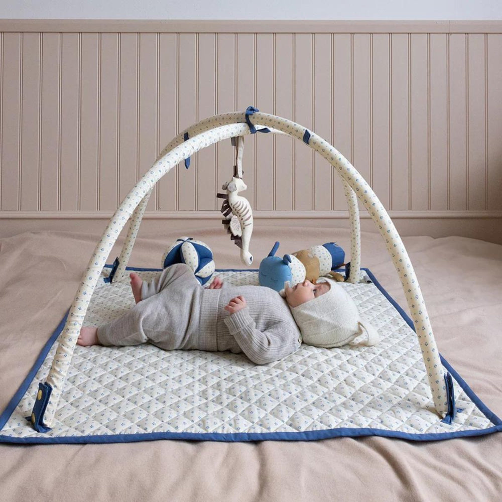 De Cam Cam Copenhagen babygym capri is perfect voor je baby's ontwikkeling en plezier. 100% biologisch katoen, met kleurrijke speeltjes. Met lichte frame en verstelbare boog. Leuk als kraamcadeau. VanZus