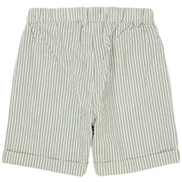 Het Copenhagen Colors seersucker short sporty in de kleur green cream stripe is een super mooi shortje voor zomerse dagen. Het shortje is unisex en kan dus zowel door meisjes als jongens worden gedragen. VanZus.