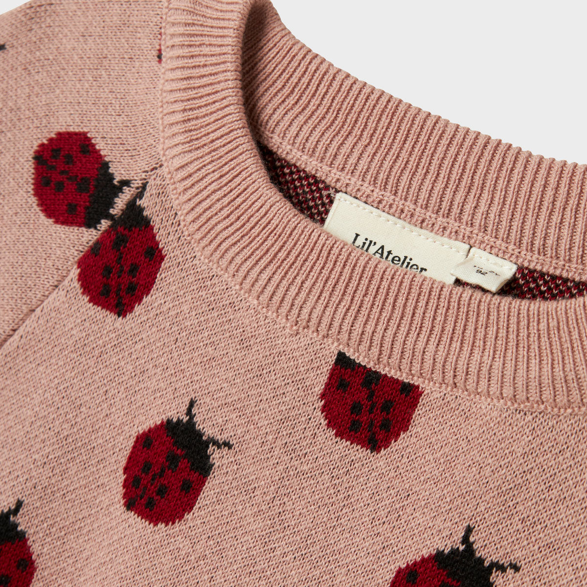 Het Lil' Atelier lulio knit shirt in de kleur misty rose is een comfortabele en stijlvolle toevoeging aan de garderobe van je kleintje. Dit leuke truitje is gemaakt van zachte, ademende stof. VanZus