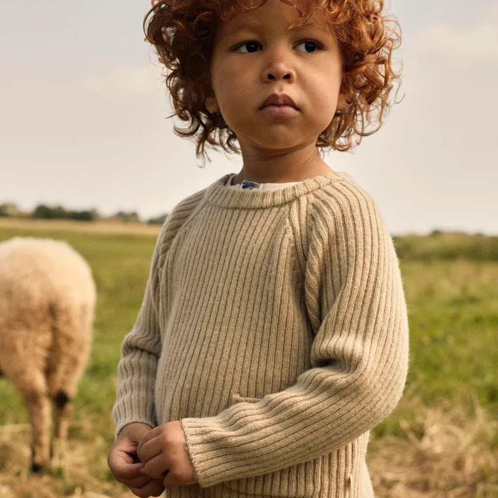 Ontdek de nalio boy knit trui in de kleur safari melange van het merk Lil' Atelier. Comfortabele gebreide top van wol en kasjmier, perfect voor elk seizoen. Duurzaam en stijlvol! VanZus