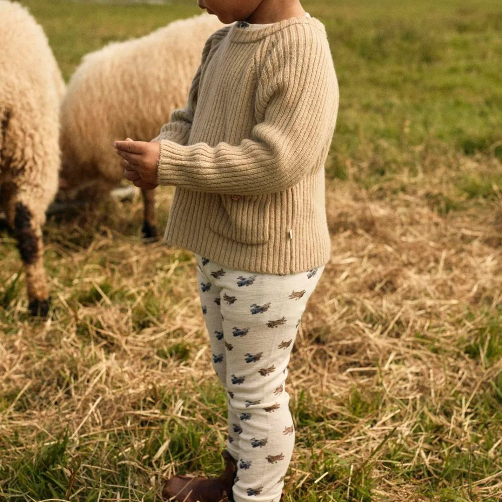 Kies voor de Lil' Atelier nalu boy slim legging in turtledove melange. Zachte legging van merinowol en tencel™, perfect voor comfort en stijl. Ideaal voor de herfst en winter! VanZus