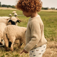 Kies voor de Lil' Atelier nalu boy slim legging in turtledove melange. Zachte legging van merinowol en tencel™, perfect voor comfort en stijl. Ideaal voor de herfst en winter! VanZus