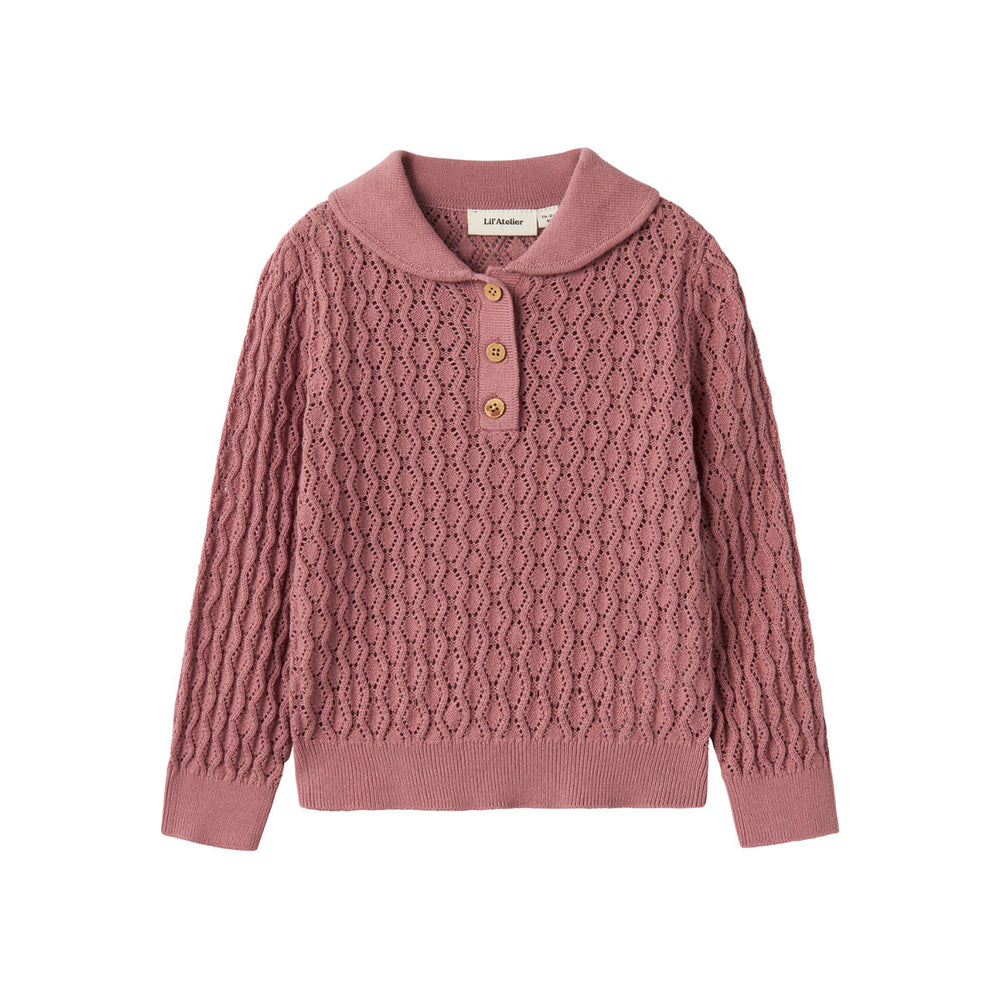 Creëer een comfortabele en trendy look voor jouw kleintje met deze leuke tolina longsleeve knit trui in de kleur nostalgia rose van het merk Lil' Atelier. Deze trui zit niet alleen heel lekker, hij ziet er ook geweldig uit! VanZus