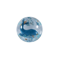 Dit is een strandbal zoals je die nog nooit hebt gezien! In deze strandbal ocean dreams strandbal 3D figuur blauw zit namelijk een walvis! Met zijn coole uiterlijk, zorgt deze gave strandbal voor eindeloze speel plezier op het strand, zwembad of in de achtertuin. VanZus
