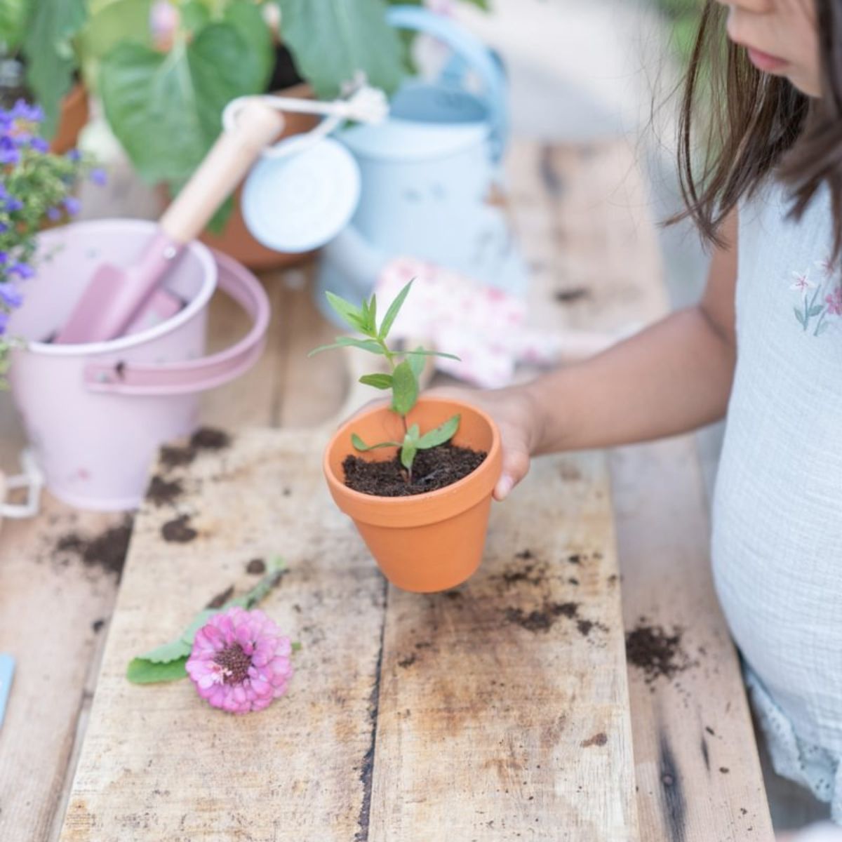 Little Dutch plantenpotje zonnebloem: laat je kinderen genieten van tuinieren met dit schattige terracotta potje. Inclusief aarde en zaadjes. Leuk cadeau. VanZus