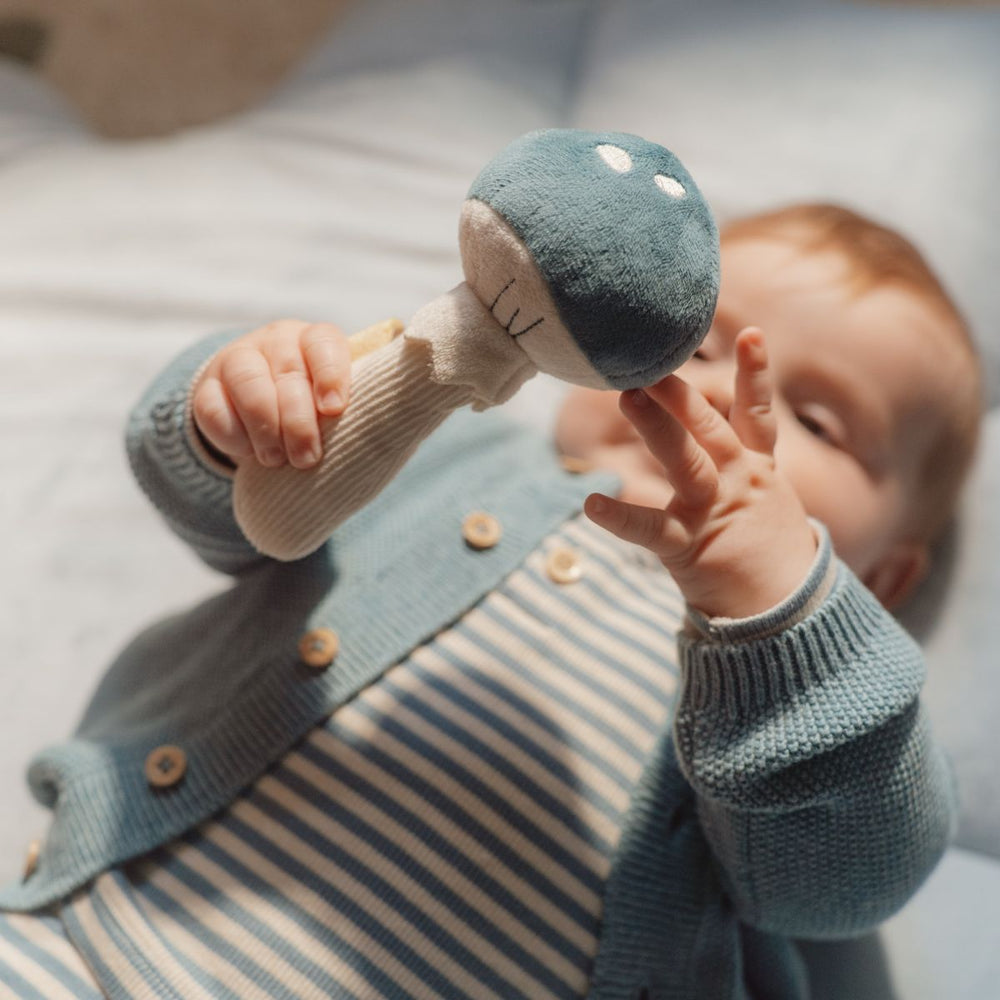 Laat je baby de magie van het bos ontdekken met de Little Dutch rammelaar paddenstoel uit de forest friends-collectie. Zachte materialen en een rammelgeluid stimuleren de zintuigen. Perfect cadeau. VanZus