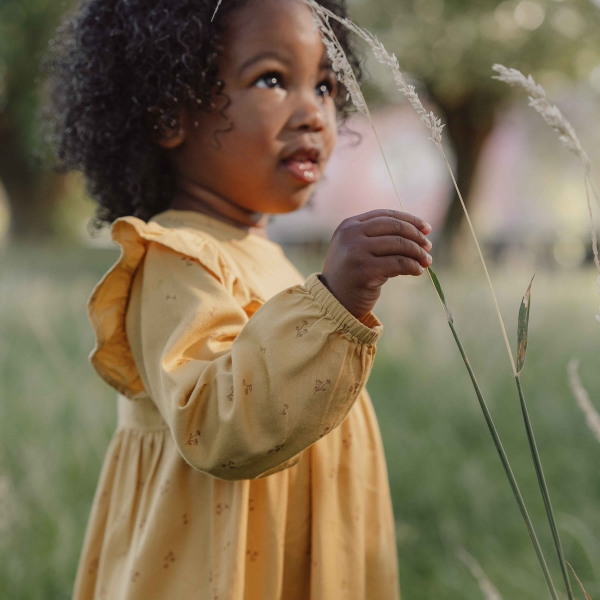 De Little Dutch blooming flower jurk met lange mouw in de kleur warm yellow is een prachtige jurk voor je kleintje. De jurk is gemaakt van een zachte stof en heeft een felle gele kleur, wat zorgt voor frisse en leuke uitstraling. VanZus