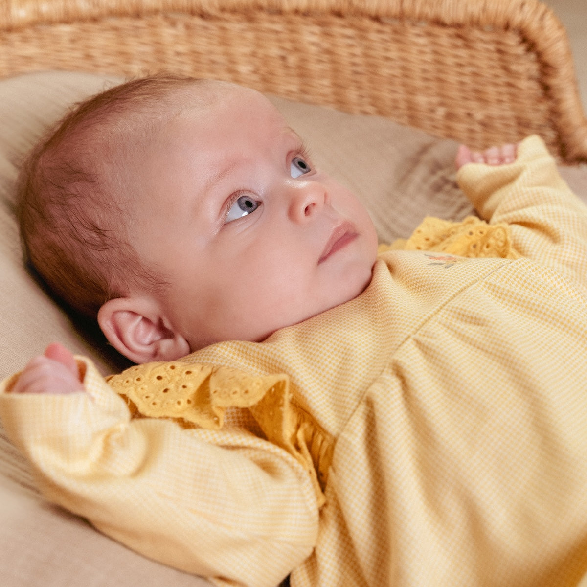 De Little Dutch flower jurk met lange mouw in de kleur warm yellow check is een prachtige jurk voor je kleintje. De jurk is gemaakt van een zachte stof en heeft een schattige gele kleur, wat zorgt voor frisse en leuke uitstraling. VanZus