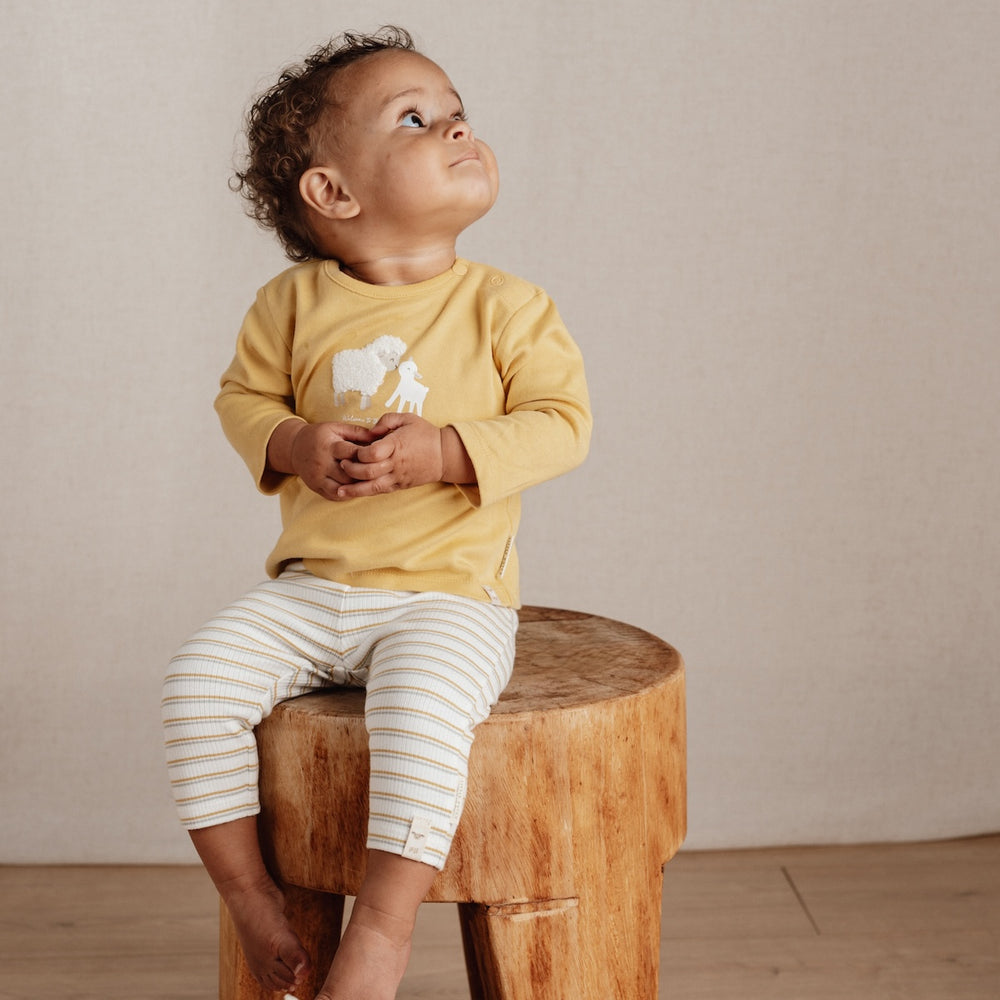 Dit t-shirt met lange mouw in de kleur warm yellow van Little Dutch wordt vast één van de favorieten van zowel mama als je kleintje!  De longsleeve heeft een mooie gele kleur en een print van een schaap en een lammetje op de borst die geïnspireerd is door de boerderij. VanZus