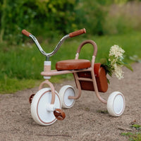 Een hippe driewieler van Vanilla Copenhagen in de kleur oak (bruin). Geschikt voor kinderen vanaf 1 jaar, afneembare duwstang, stevige materialen en schattig fietstasje achterop. Voor veel fiets avonturen! VanZus