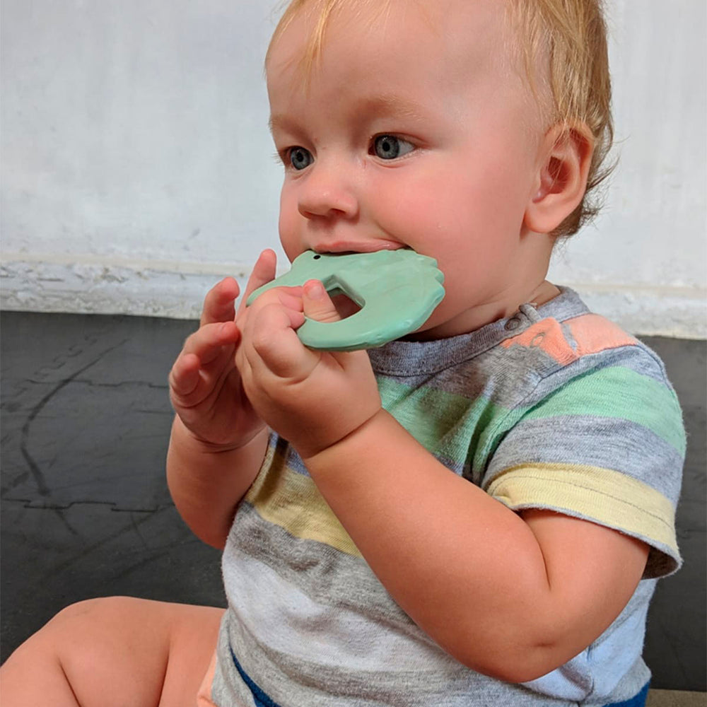 Doorkomende tandjes? De bijtring krokidil van Tikiri zorgt voor verlichting. Met reliëf, eenvoudig vast te pakken met babyhandjes. Geschikt vanaf 0 jaar. Gemaakt van natuurlijk rubber. Ook in andere soorten. VanZus