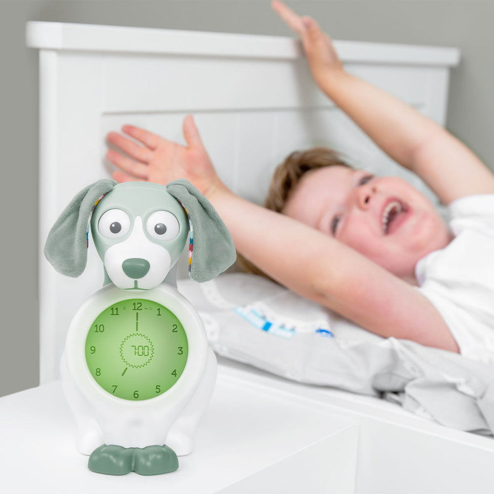 De ZAZU Slaaptrainer dog Davy green is een klok met lamp en timer in de vorm van een knuffelhond. Hij is het hulpmiddel voor kinderen om ze het onderscheid te leren maken tussen dag-nacht en bedtijd-speeltijd. VanZus