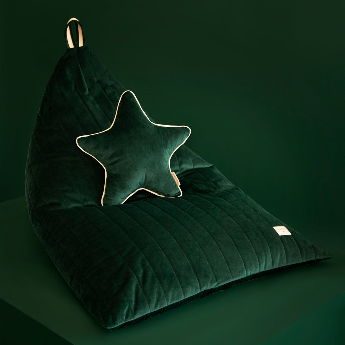 Het Nobodinoz Aristote velvet ster kussen jungle green is zacht om tegen aan te liggen en cute om te zien. Dit stervormige sierkussen is ervoor gemaakt om het bed, de box, je stoel of je cosy corner te laten schitteren. VanZus