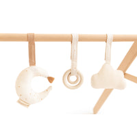 Ga op ontdekkingstocht met het Nobodinoz growing green babygym set sky! Deze set bestaat uit een houten babygym, een knisperend speeltje, een rammelaar en bijtring, die de ontwikkeling en zintuigen stimuleren. VanZus.