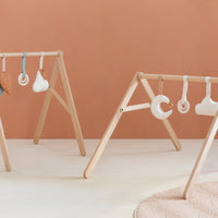 Ga op ontdekkingstocht met het Nobodinoz growing green babygym set sky! Deze set bestaat uit een houten babygym, een knisperend speeltje, een rammelaar en bijtring, die de ontwikkeling en zintuigen stimuleren. VanZus.