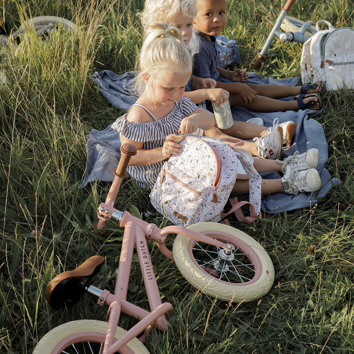 Little Dutch balance bike pink VanZus