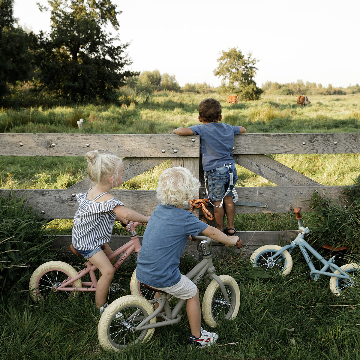Laat je kindje eerste stapjes richting het leren fietsen zetten met deze prachtige 12-inch loopfiets van Little Dutch. De stoere fiets bevordert de motorische ontwikkeling van je kind en zorgt voor speelplezier. VanZus