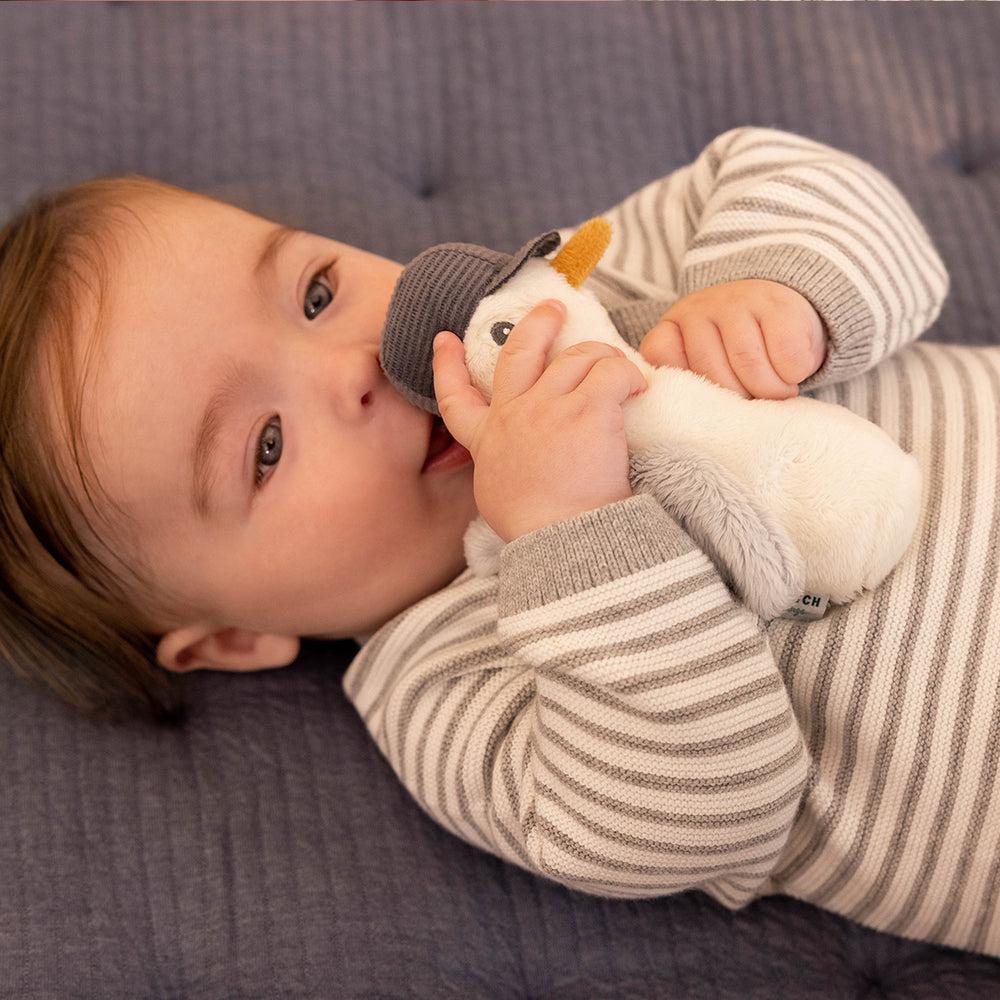 Jack de meeuw vindt het met zijn gepiep heerlijk om met baby’s te spelen Dit zachte knijpspeeltje is het perfecte eerste speelgoed voor jouw kleintje. Plezier verzekerd! Ook leuk als kraamcadeau! VanZus