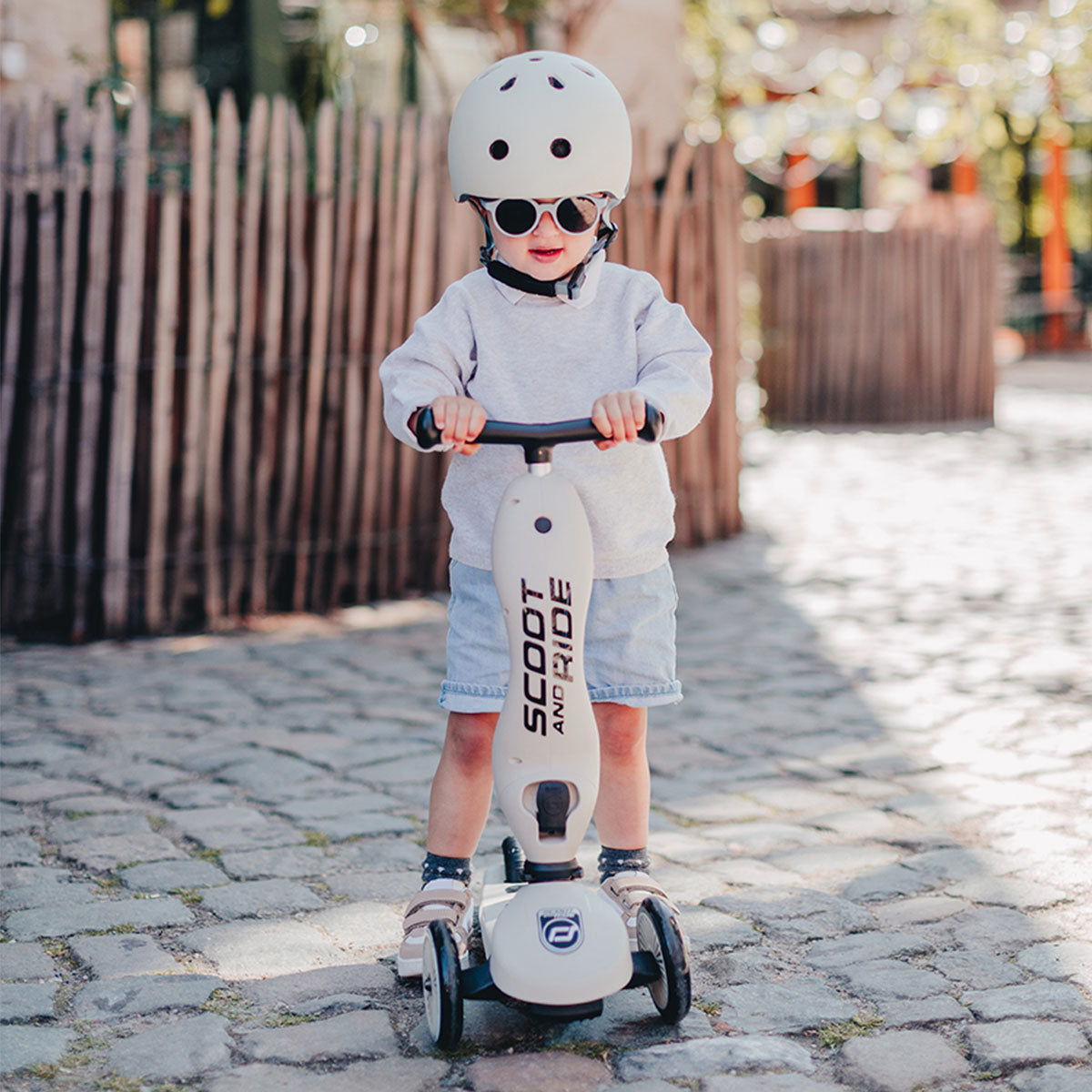 Scoot and Ride Highwaykick 1 ash VanZus