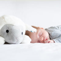 Wil jij jouw baby helpen om in slaap te vallen en te blijven? Dan biedt de ZAZU hartslagknuffel Liz the lamb heartbeat de oplossing met deze schattige hartslag- en muziekknuffel in de vorm van een lammetje. VanZus.