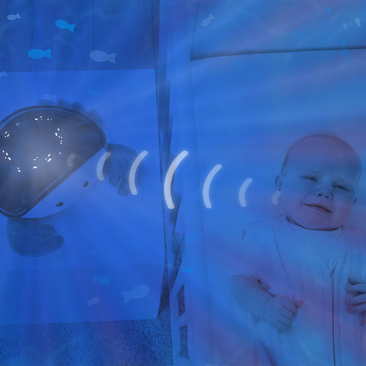 Met de ZAZU Cody ocean projector tover je iedere ruimte in een oogwenk om in een schitterende onderwaterwereld. De knuffel helpt je kindje met geluiden en lichtprojectie om lekker rustig in slaap te vallen. VanZus.